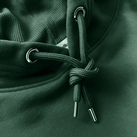 Premium Celtic1967 Hoodie