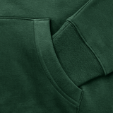 Premium Celtic1967 Hoodie