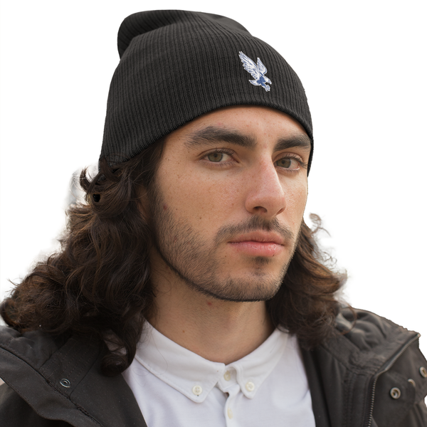 PalaceEagles Slouch Beanie