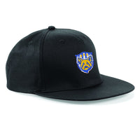 Terriers Snapback