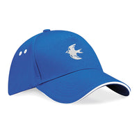 CityBluebirds Varsity Cap